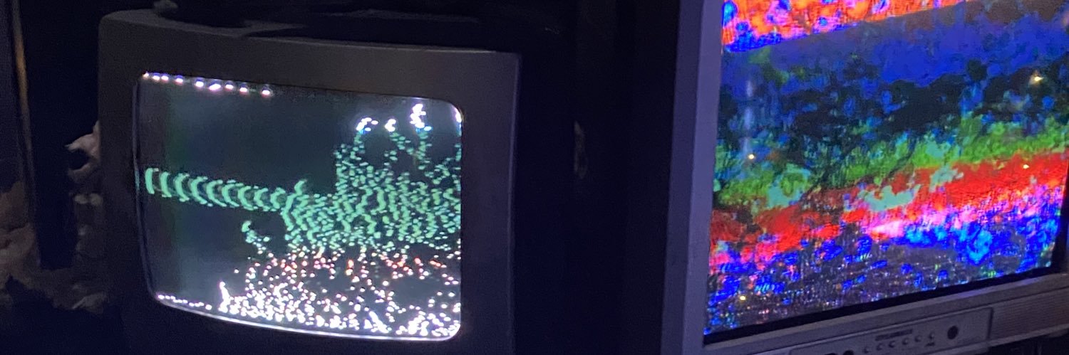 dointhcockroach's profile banner image