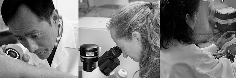 Melanoma Research's banner