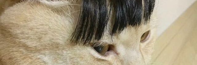 garcialaaari's profile banner image