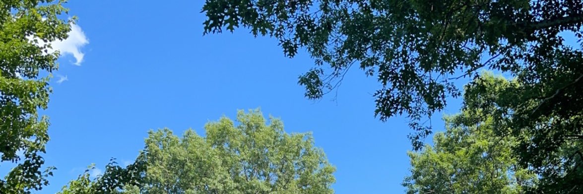 BiaHabib's profile banner image