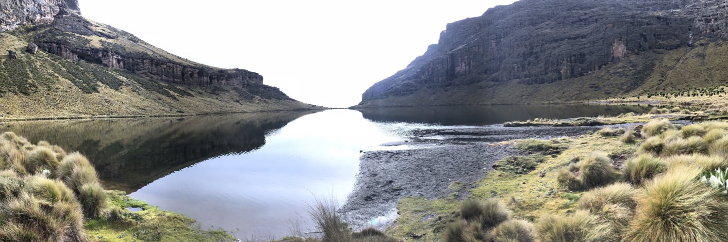 Alvin Kodongo banner