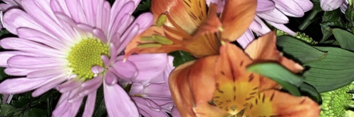 Mayaaa_D_'s profile banner image