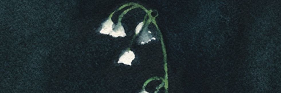 accidentalsab_'s profile banner image
