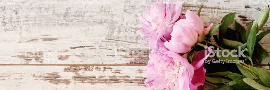 bechita_'s profile banner image