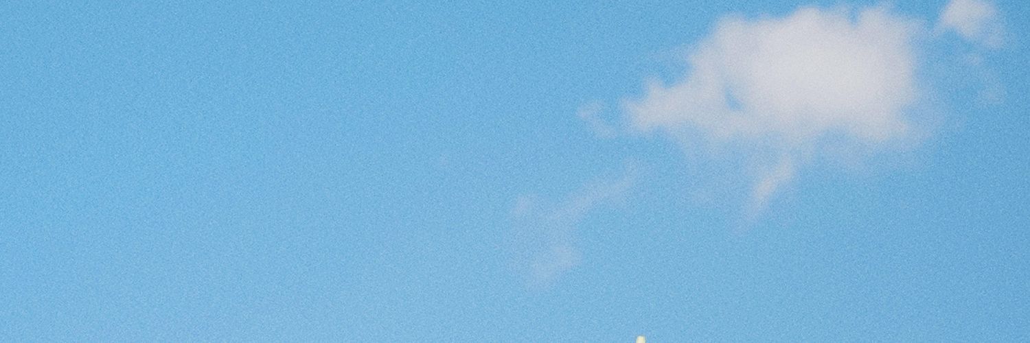 dododioso's profile banner image