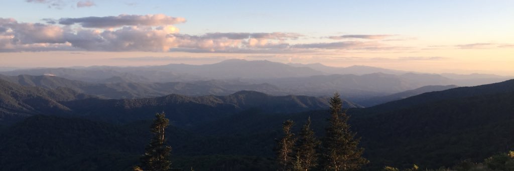 M_Sutherland95's profile banner image