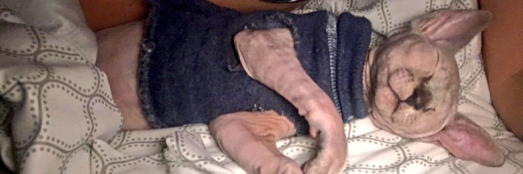 jaycurxo's profile banner image