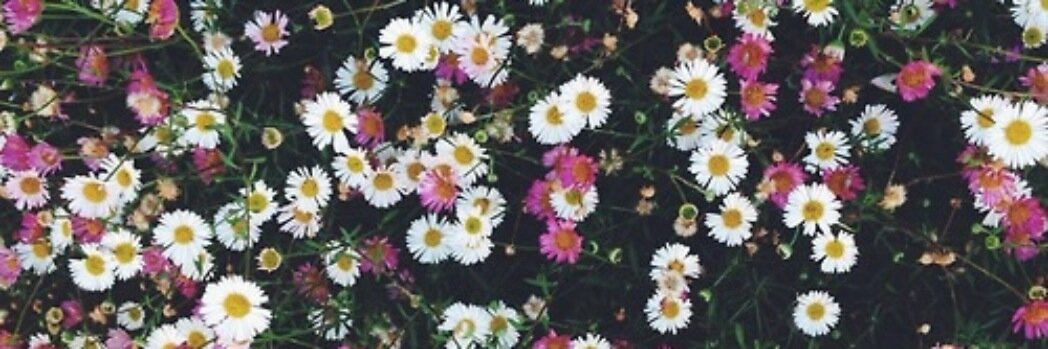 aybaybaybetch's profile banner image
