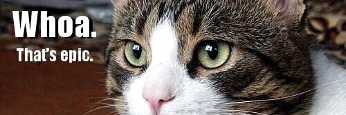 tomastehgreat's profile banner image