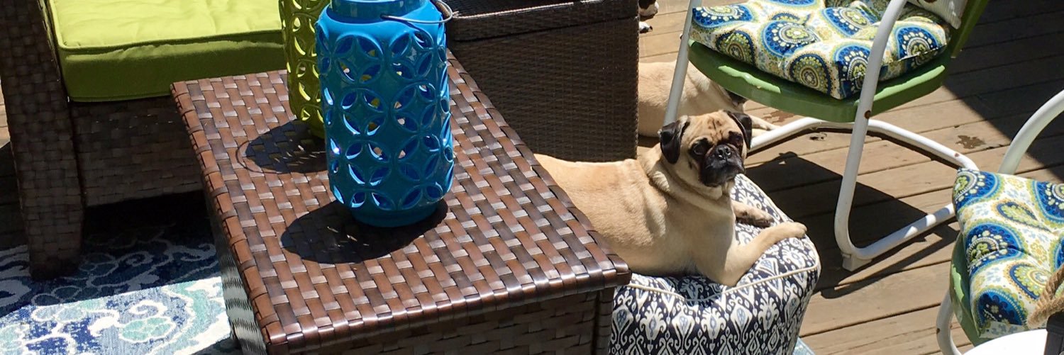 walter_pug's profile banner image