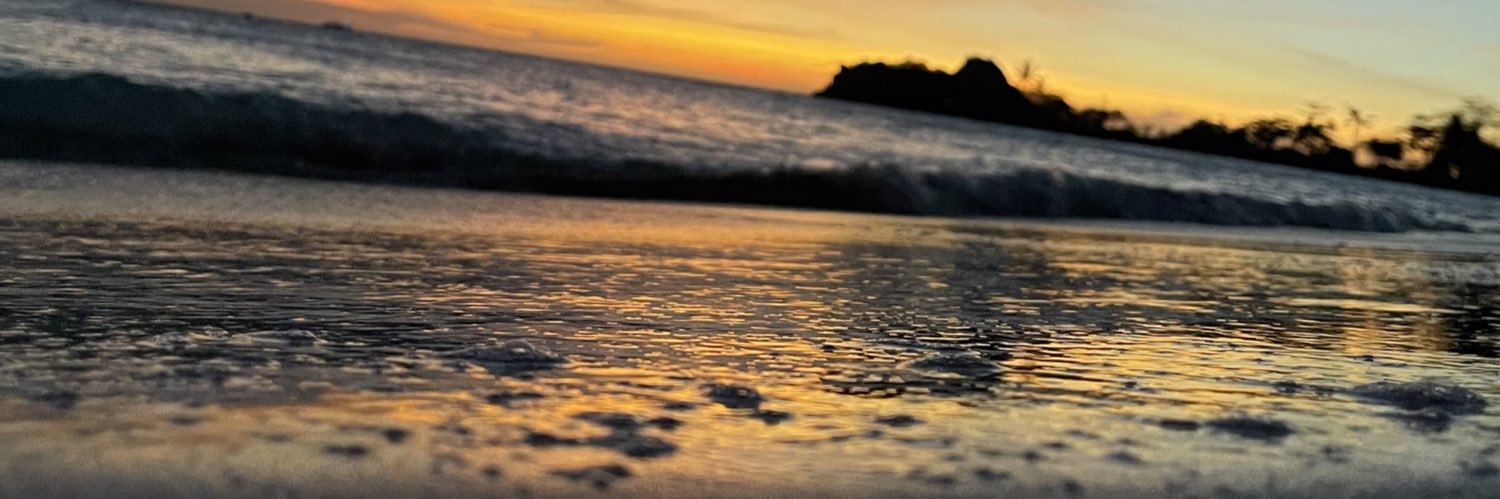 Leysam Sanciangco banner