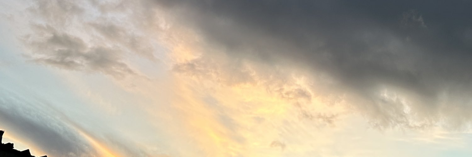 CharXavier96's profile banner image