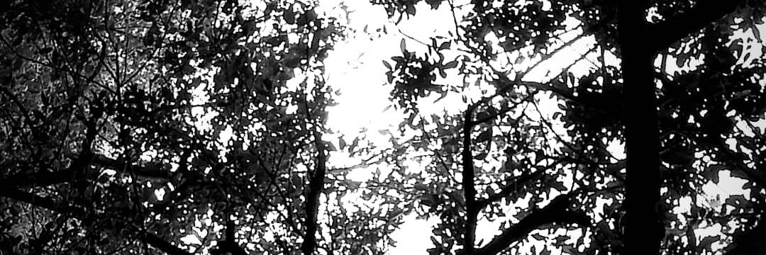 970812sgh's profile banner image