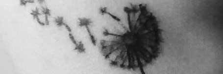 Monse_Dandelion's profile banner image