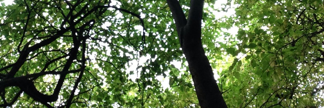 maisiebob1's profile banner image