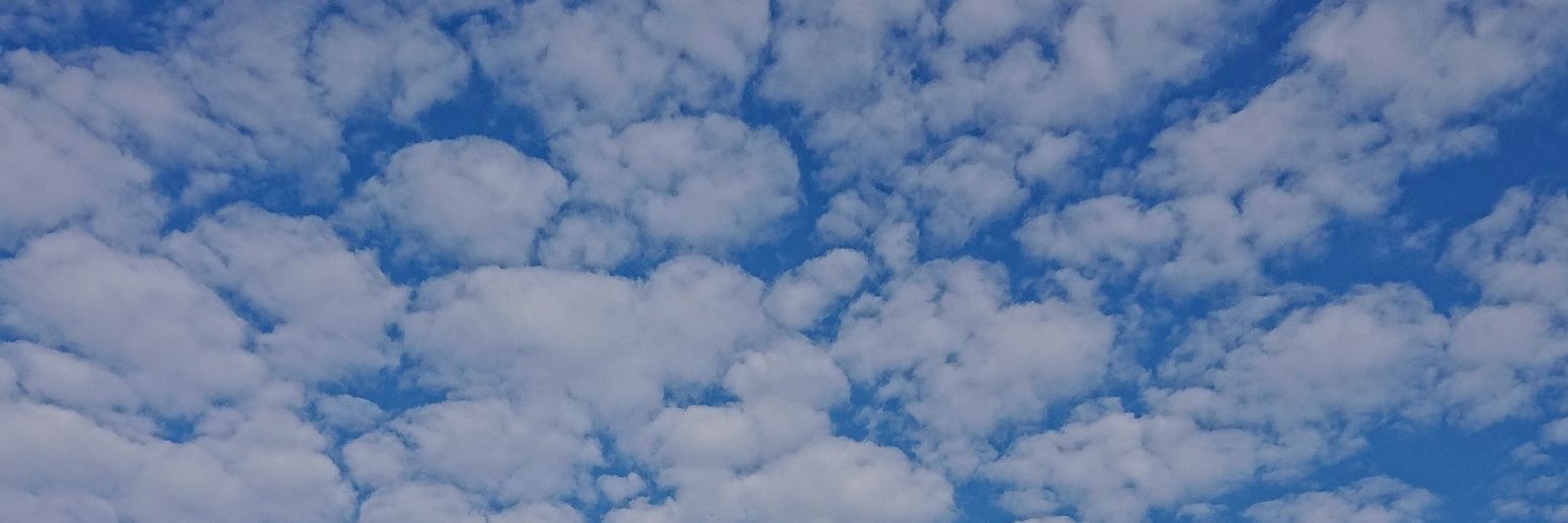 55kujira's profile banner image