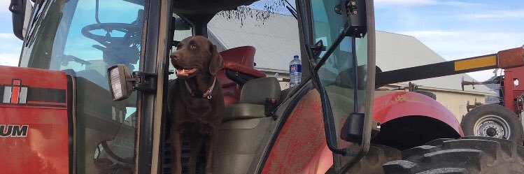 BMetzger12's profile banner image