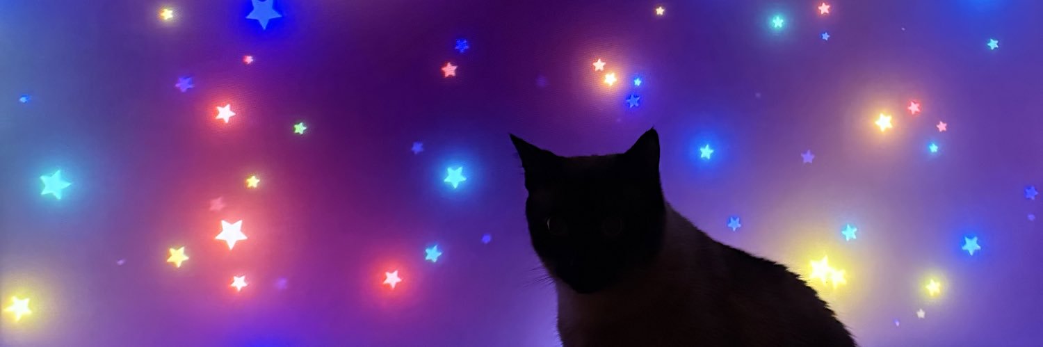 _broitskatie's profile banner image
