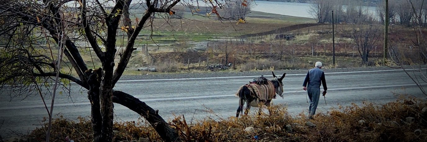 𝑼𝑺𝑰𝑽 banner