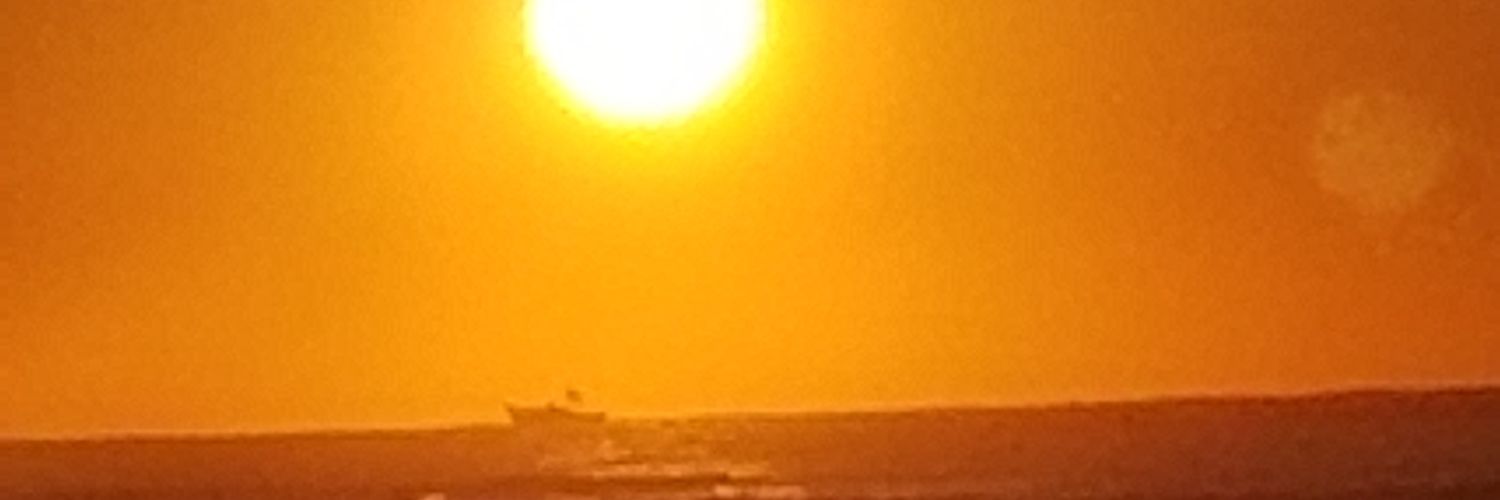 Jennifer Martin banner