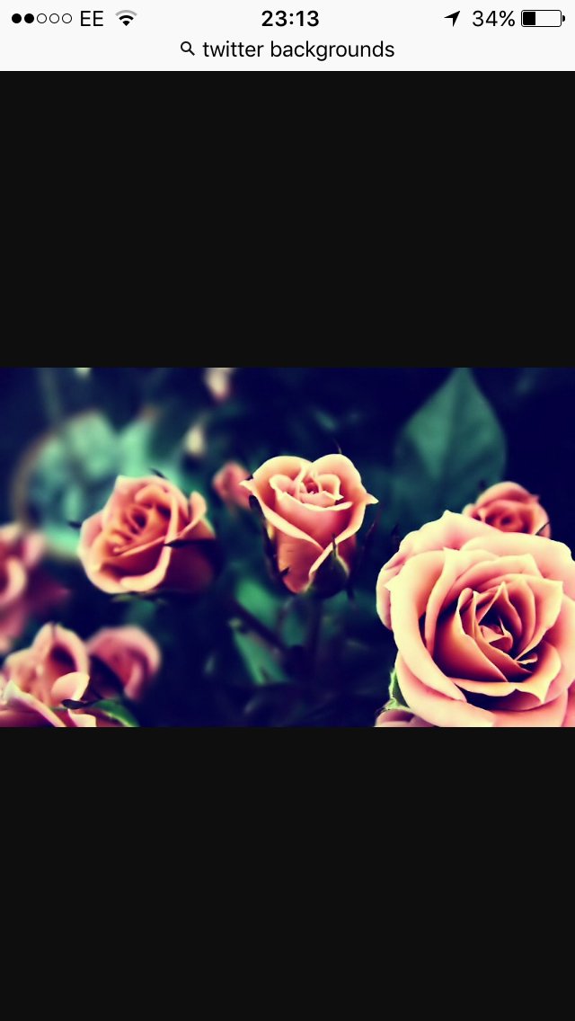 adele_alston's profile banner image