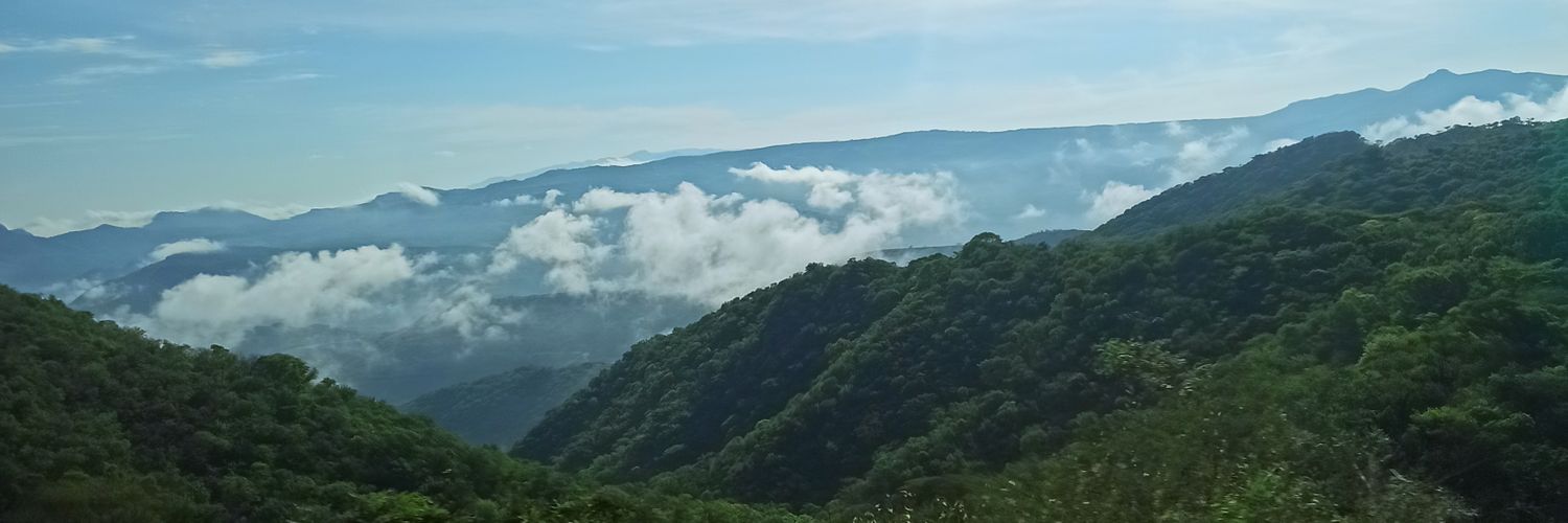 DeliaSneip's profile banner image