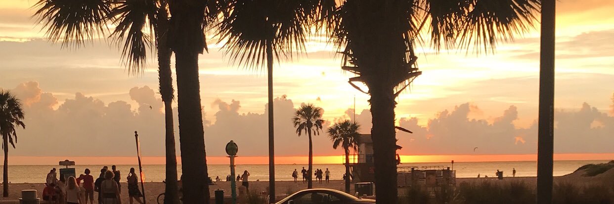 daniellelauer01's profile banner image
