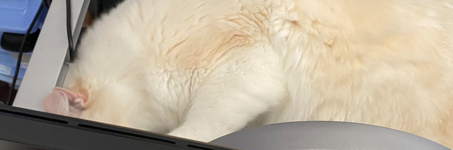 hungrypanties's profile banner image