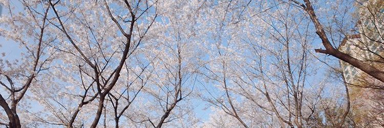 sayidatyna's profile banner image