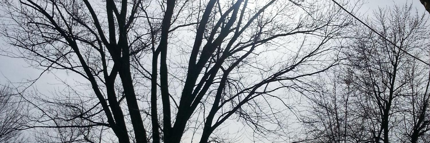llgg282's profile banner image