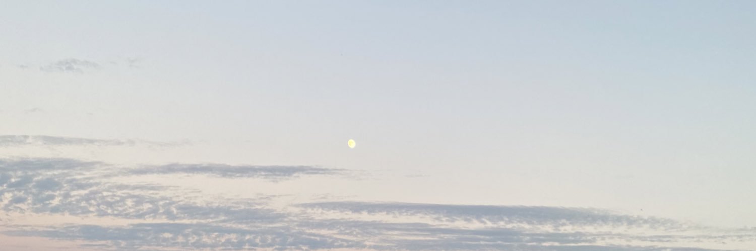 Nora_Sully's profile banner image