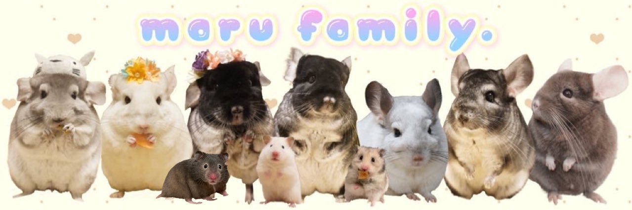 mm_m721's profile banner image