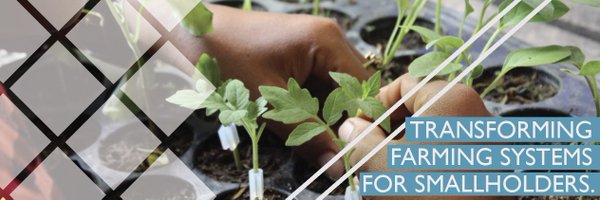 SIIL_KSU Profile Banner