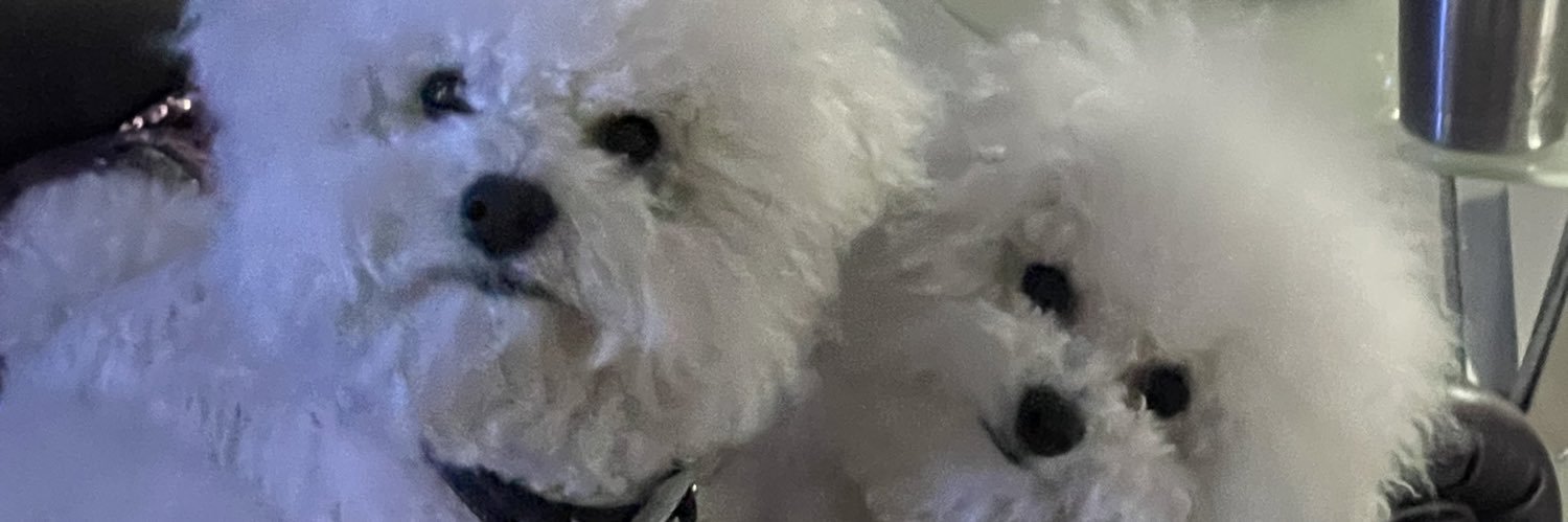 austintxsooner's profile banner image