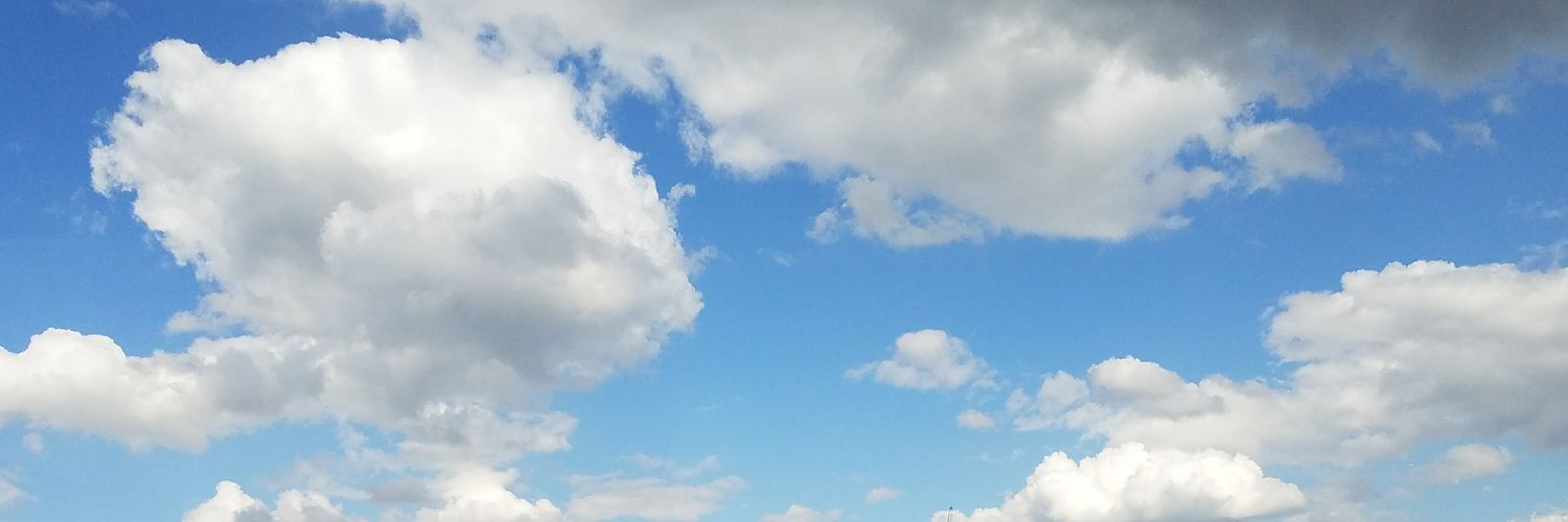 tiny crew🐜 banner