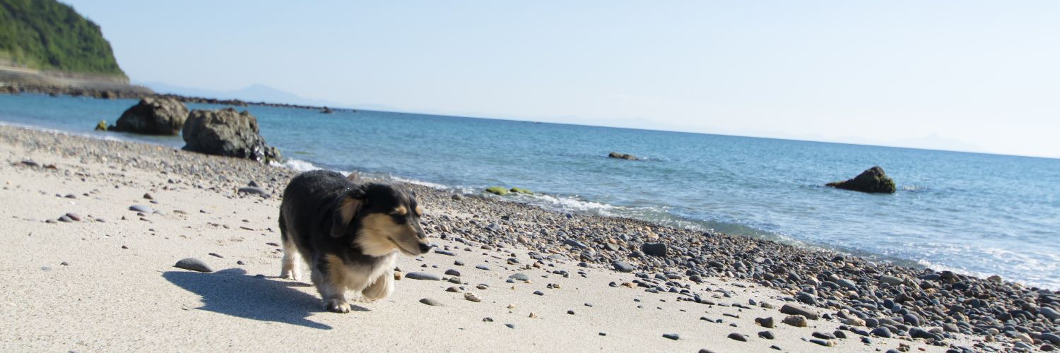 sulume3's profile banner image