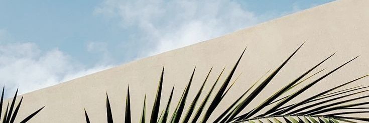 yasminmaaged's profile banner image