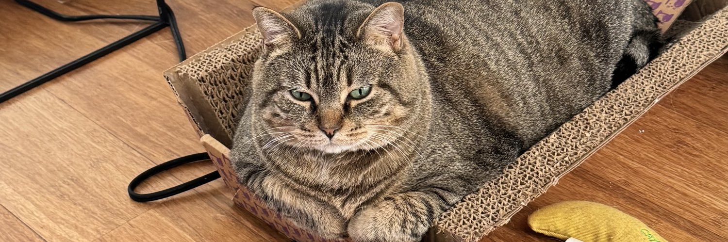 aspen proctor banner