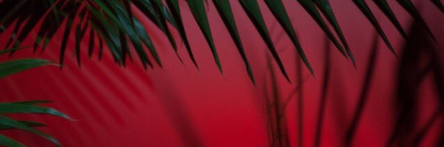 lipe242's profile banner image