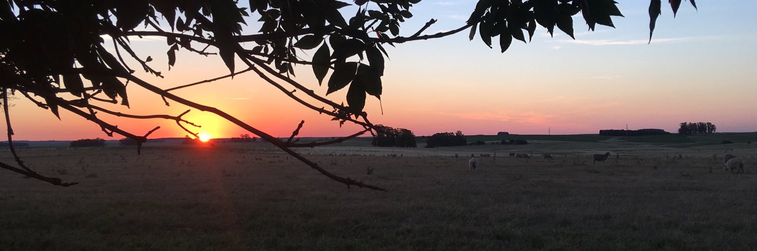 EvaSaffores's profile banner image