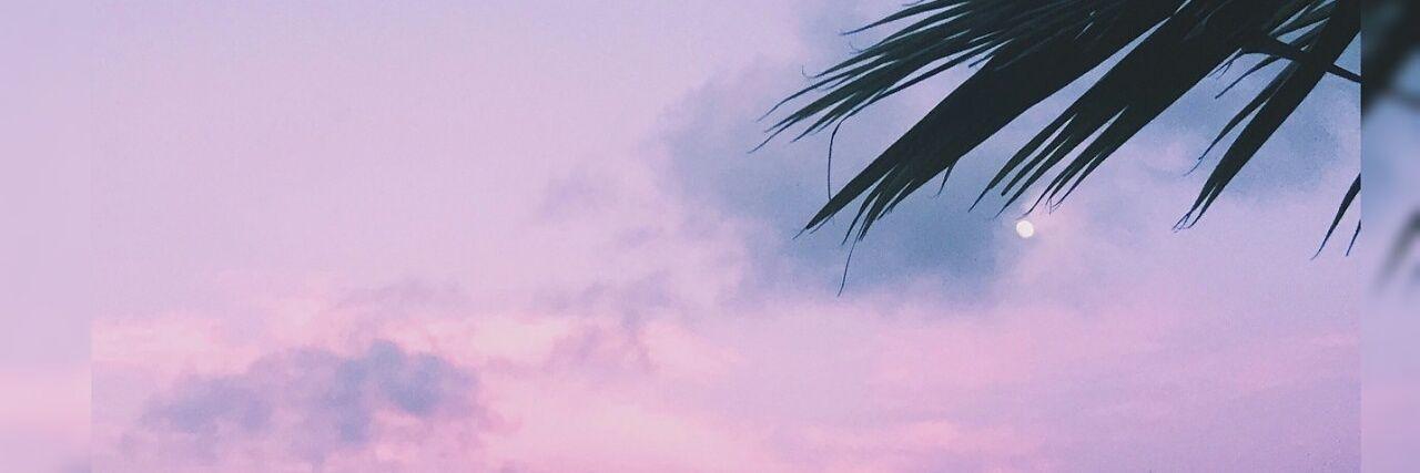 ConKdeKaroline's profile banner image