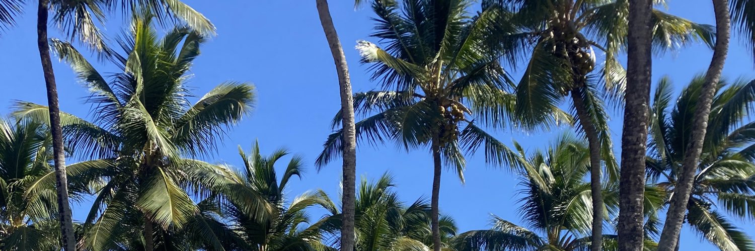 mailimiranda's profile banner image
