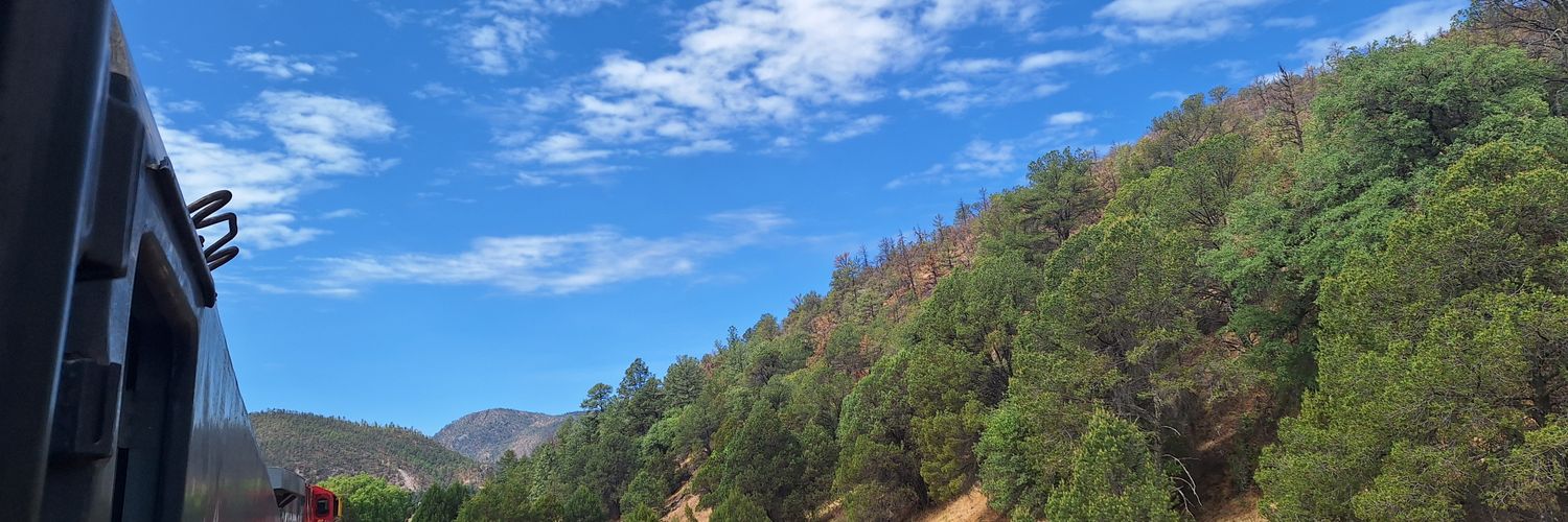 Palapa banner