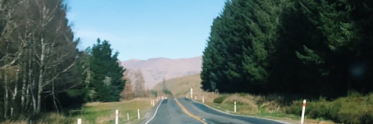 sarirhy's profile banner image