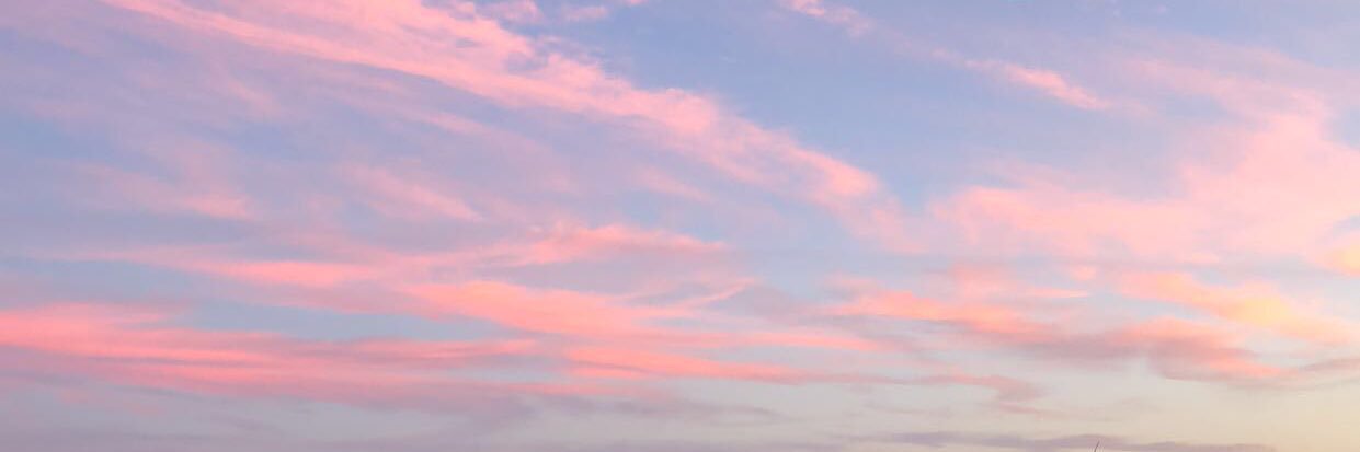 Bay_Ann4's profile banner image