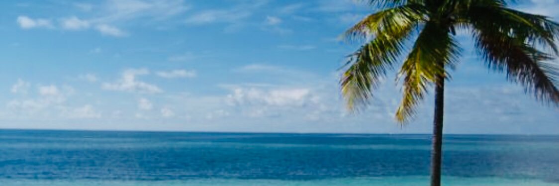 lottapoint's profile banner image