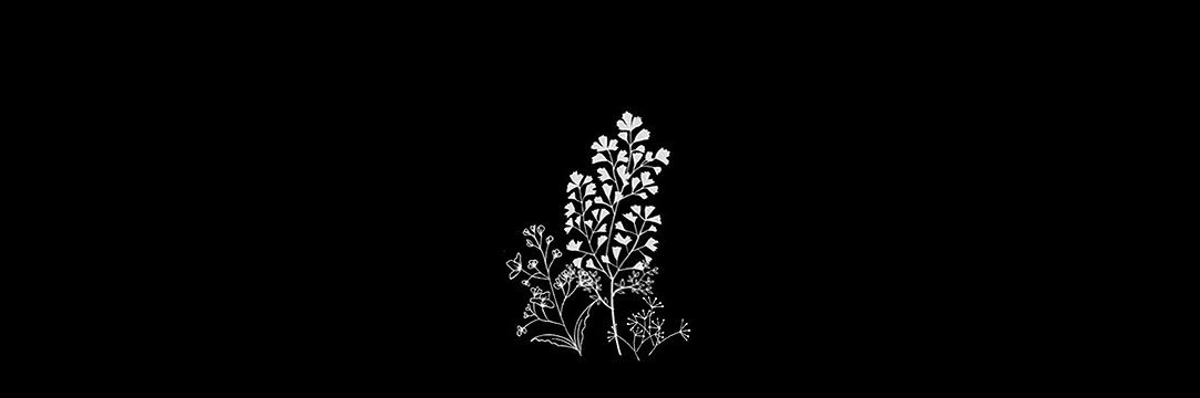 alliegeorgina's profile banner image