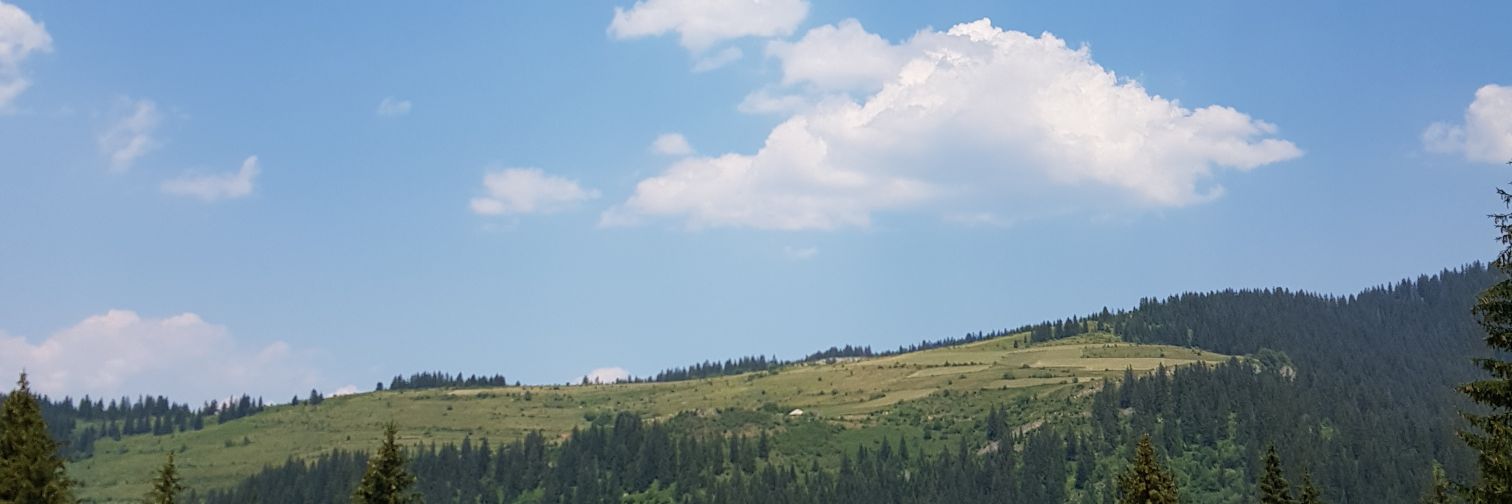 maalh01's profile banner image