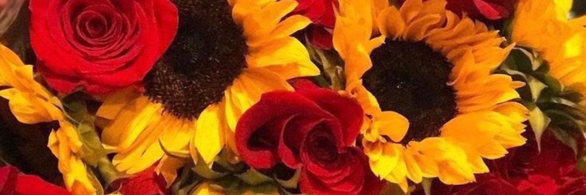 tatyanasoley_'s profile banner image