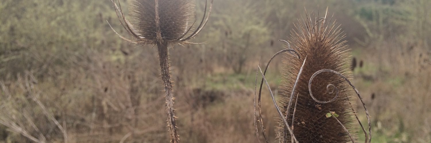 KristenCrichlow's profile banner image